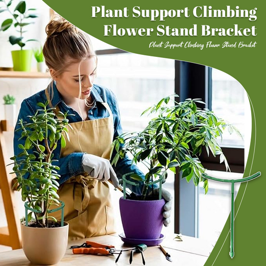 Plant Support Climbing Flower Stand Bracket